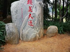 -武汉大学-樱园