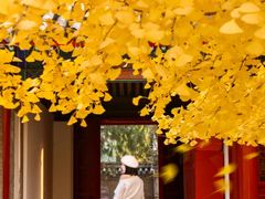 -承恩寺