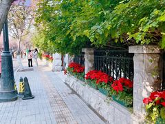 -天津五大道文化旅游区