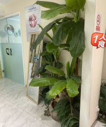 -健身堂科技美肌SPA