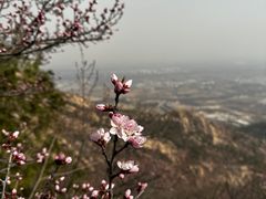 -北京凤凰岭