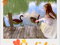 -金庭庄园酒店-停车场