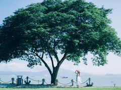 -黄金海岸环岛路