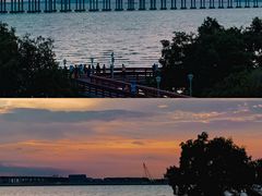 -宝安西湾红树林湿地公园