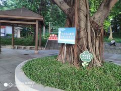 -广州雕塑公园