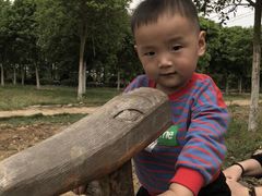 -武汉紫薇都市田园