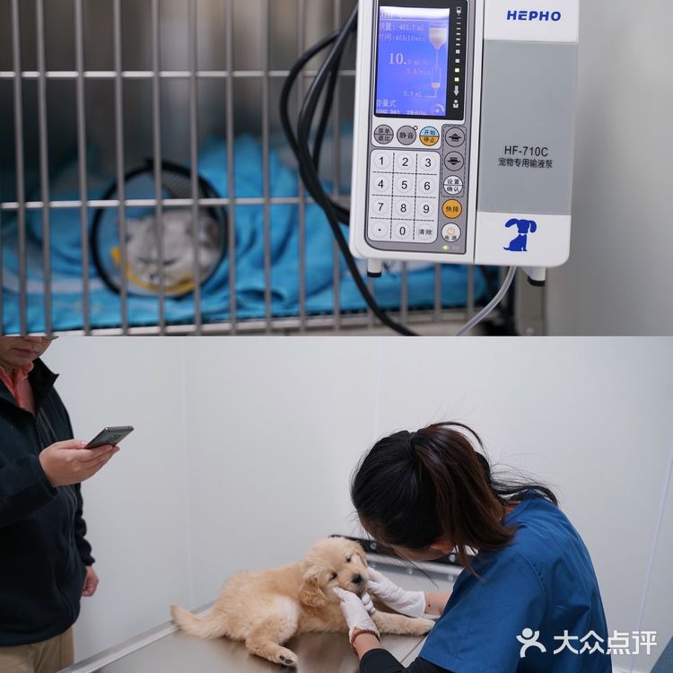 上海宠物医院良心推荐！！！！！！