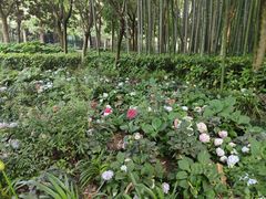 -苏州河梦清园环保主题公园