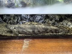 -太平洋海底世界