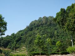 -火炉山森林公园