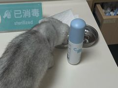 -谐和贝康宠物医院24小时·宠保定点(急重症转诊中心)
