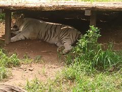 -大连森林动物园