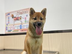 -芭比堂动物医院(广州爱宠下渡路分院)