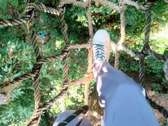 -西双版纳原始森林公园