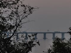 -宝安西湾红树林湿地公园