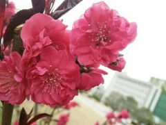 -宿迁学院