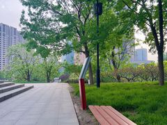 -大望京公园