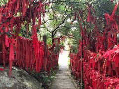 -海南铜鼓岭景区