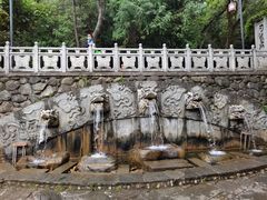 -蝴蝶泉公园