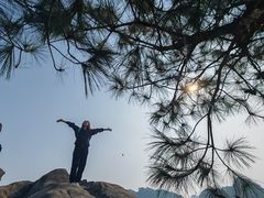 -南山植物园