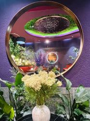 -花隐·美芙炫海菲秀皮肤管理中心