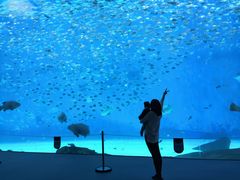 -上海滴水湖皇冠假日酒店