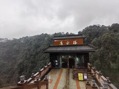 -碧峰峡风景区