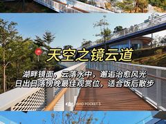 -鼎香皇高佬苏裹蒸粽