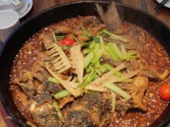 -老板恋上鱼(印象城店)