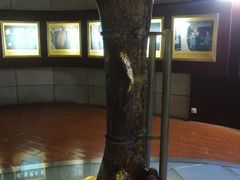 -诸城市恐龙博物馆