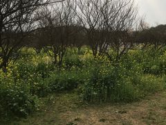 -凤凰沟景区