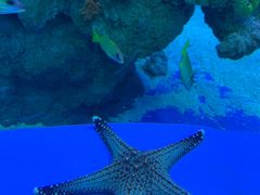 -成都浩海立方海洋公园