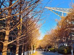 -长白岛森林公园