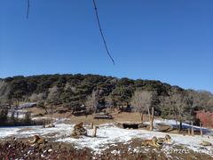 -沈阳森林动物园