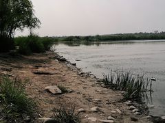 -绿堤公园