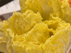 -蜀九香火锅(彩虹店)
