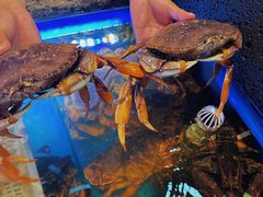 -鲜味食族水产·海鲜餐厅