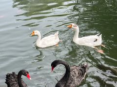 -天毓山庄·餐厅