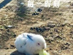 -石家庄市动物园