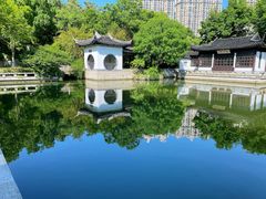 -红梅公园