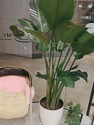 -Mr.JUDY洗个头发