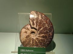 -甘肃省博物馆