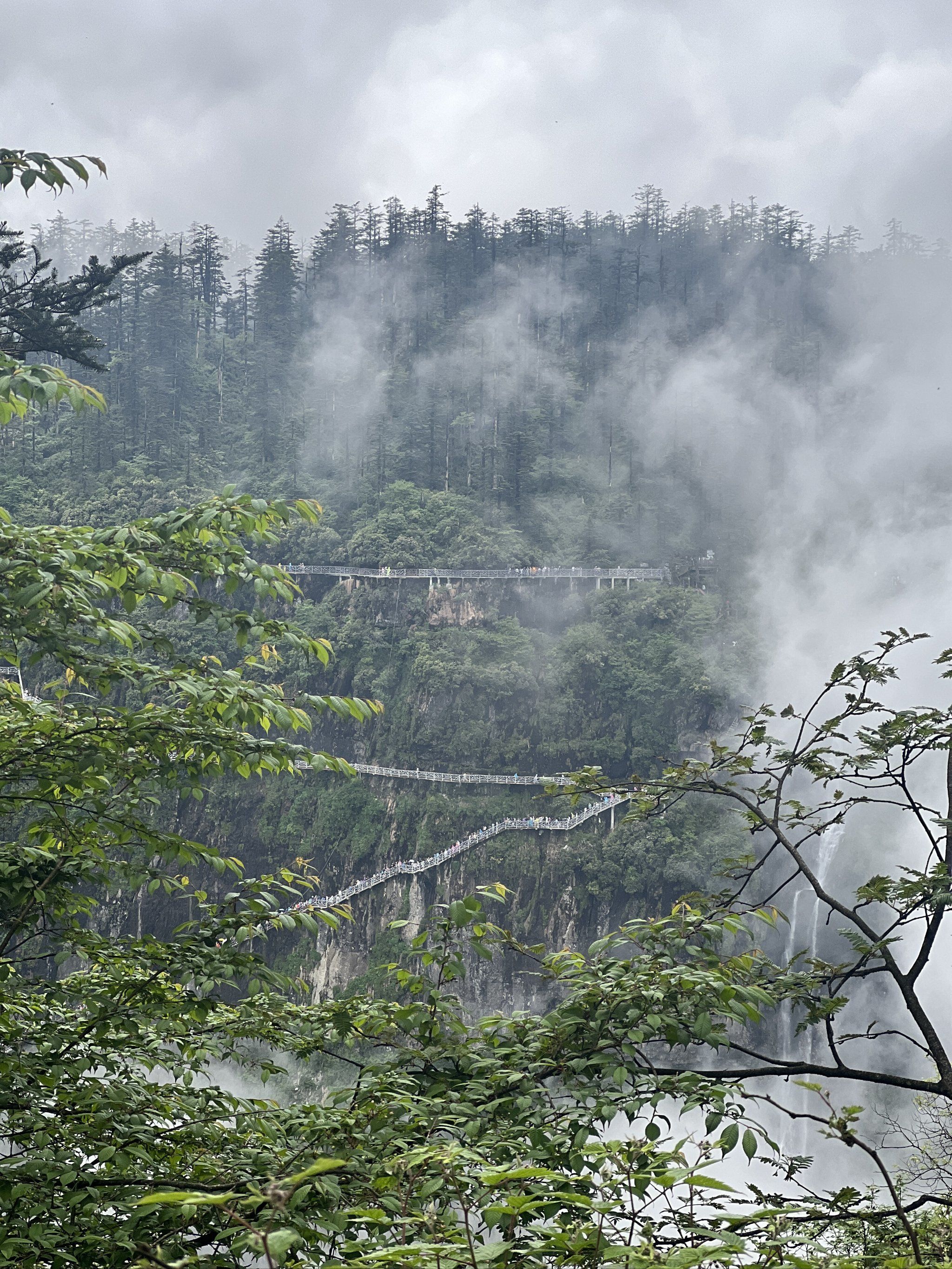 瓦屋山的风景真的没的说,上到高山区天气凉爽甚至有点冷,雾气氤氲.