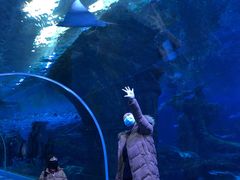 -波塞冬旅游度假区