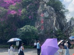 -星湖旅游景区七星岩
