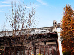 -宁波杭州湾国家湿地公园