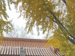 -戏马台景区