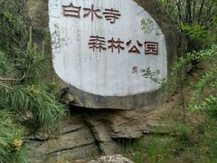 -白水寺森林公园