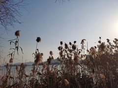 -渤公岛生态公园