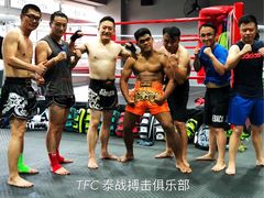 -TFC 纯泰拳馆MuayThai